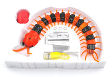 Carregar imagem no visualizador da galeria, RC Centopéia de controle remoto! Infravermelho - Scolopendra RC Centipede - Casa das Formigas
