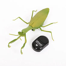 Carregar imagem no visualizador da galeria, Louva-a-deus de Controle Remoto - Insect Electric Infrared RC Simulate Mantis - Casa das Formigas
