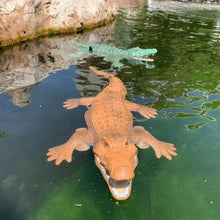 Carregar imagem no visualizador da galeria, Crocodilo Controle Remoto - Jacaré/Alligator RC Boat Simulation Remote Control Electric 2.4G - Casa das Formigas
