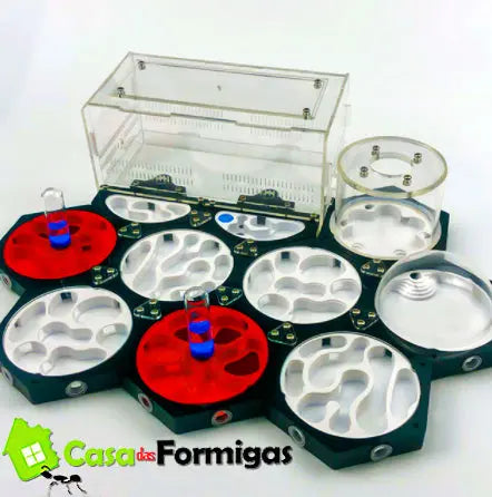 Kit Fazenda de Formigas Profissional 3D *Estação Espacial* (DESMONTÁVEL) - Casa das Formigas