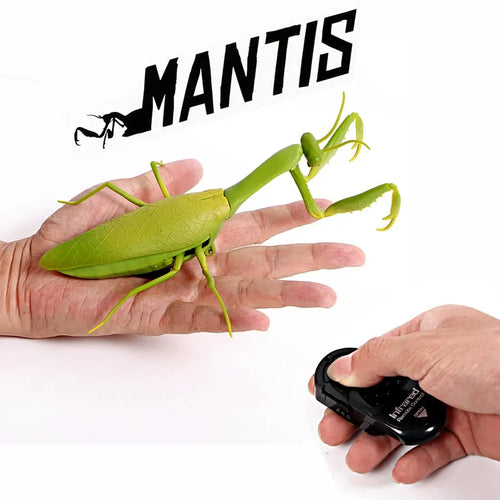 Louva-a-deus de Controle Remoto - Insect Electric Infrared RC Simulate Mantis - Casa das Formigas